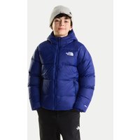 The North Face Dūnu jaka NF0A8H3R