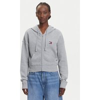 Tommy Jeans Džemperis ar kapuci DW0DW21147