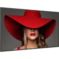 Philips Philips ADS 65BDL4650D 65" 4K Ultra HD LCD 24/7 Wifi Android 11 Standard