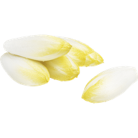 chicoree-500g