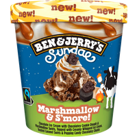 Ben & Jerry's Sundae Marshmallow & S'more 427ml