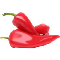 REWE Bio Paprika spitz rot 180g