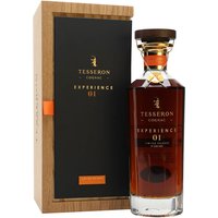 Tesseron Experience 01 Tesseron Experience 01