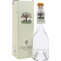 Capovilla Distallato di Albicocche 2023