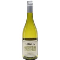 Bodegas Garzon Viognier 2024