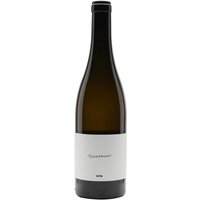 Milan Nestarec WTB 2021 Milan Nestarec WTB 2021