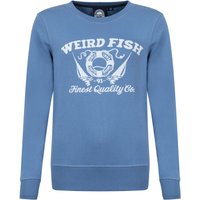 Weird Fish Aurora Graphic Crew Neck Sweatshirt Faded Blue Size 10 Weird Fish Aurora Graphic Crew Neck Sweatshirt Faded Blue Size 10