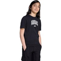 Camiseta adidas Colegiatte Juvenil