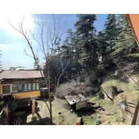 Trivago Deal Enjoy 29% Discount on Backwoods BnB Accommodation