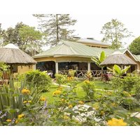 Trivago Enjoy 38% Savings on Your Arusha Safari Adventure in Africa