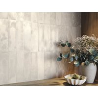 Carrelage Mural Effet Métallique 6x25 Terranova
