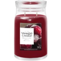 Large Woodland Spice