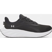 Ascend Trainers Black White