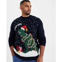 Tree Rex Christmas Jumper M39 41