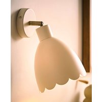 Millie Scallop Spotlight