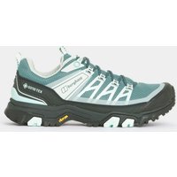 Terravolt GTX Shoes Black Steel