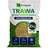 Trawa uniwersalna Riset szybko zagęszczająca 2 kg 100 m2