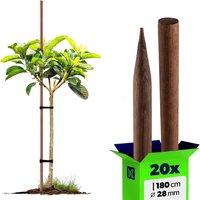 Podpora do roślin drewniana Tarup palik 28 mm x 180 cm 20 szt.