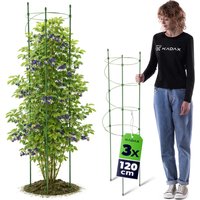 Spiralna podpora do roślin Apremont 120 cm zielona 3 szt.