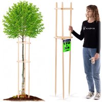 Podpora ogrodowa trójnóg Redon 170 cm drewniana naturalna