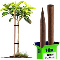 Podpora do roślin drewniana Tarup palik 28 mm x 120 cm 10 szt.