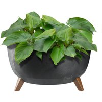 Misa na kwiaty z nóżkami Mably 47 cm czarny beton