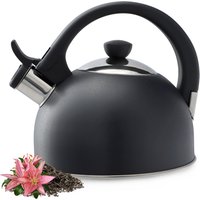 Czajnik nierdzewny Vasto z gwizdkiem 1.7L, antracyt