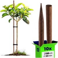 Podpora do roślin drewniana Utre palik impregnowany 23 mm x 150 cm 10 szt.