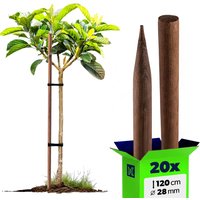 Podpora do roślin drewniana Tarup palik 28 mm x 120 cm 20 szt.