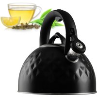 Czajnik ze stali nierdzewnej Artaix 2,5L czarny