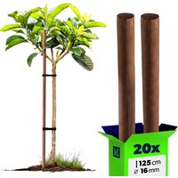 Podpora do roślin drewniana Espe palik 16 mm x 125 cm 20 szt.