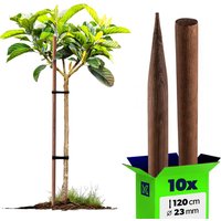 Podpora do roślin drewniana Utre palik impregnowany 23 mm x 120 cm 10 szt.