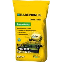 Trawa odporna na suszę Barenbrug Resilent Blue Lawn 5kg