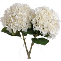 Set of 2 Oversized White Faux Hydrangea at Kaleidoscope Catalogue Set of 2 Oversized White Faux Hydrangea.