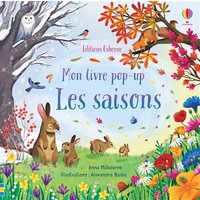 Les saisons - Mon livre pop-up