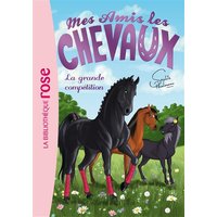 Mes amis les chevaux. Vol. 2. La grande compétition