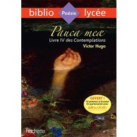 Bibliolycée - Pauca meae (Livre IV des Contemplations), Victor Hugo