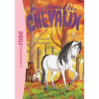 Mes amis les chevaux. Vol. 19. Le secret d'Andalou