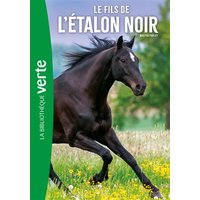 L'étalon noir. Vol. 4. Le fils de l'étalon noir