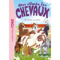 Mes amis les chevaux. Vol. 39. La chasse au trésor