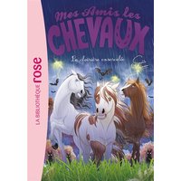 Mes amis les chevaux. Vol. 40. La clairière ensorcelée