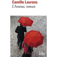 L'amour, roman