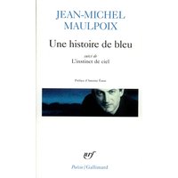 Une histoire de bleu. L'instinct de ciel