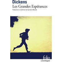 Les grandes espérances