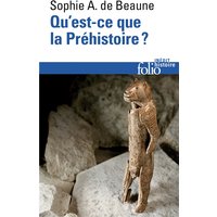 Qu'est-ce que la préhistoire ?
