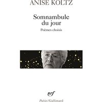 Somnambule du jour : poèmes choisis
