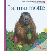 La marmotte