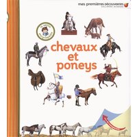 Chevaux et poneys