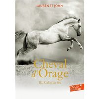 Cheval d'orage. Vol. 3. Galop de feu