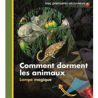 Comment dorment les animaux ?